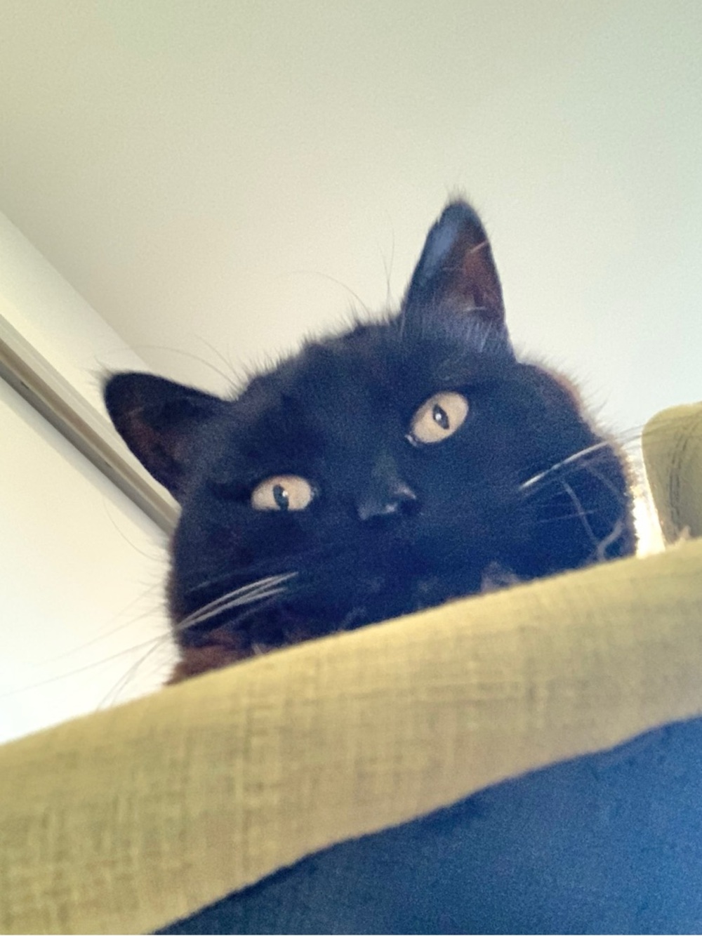 Meet your Posher, CB